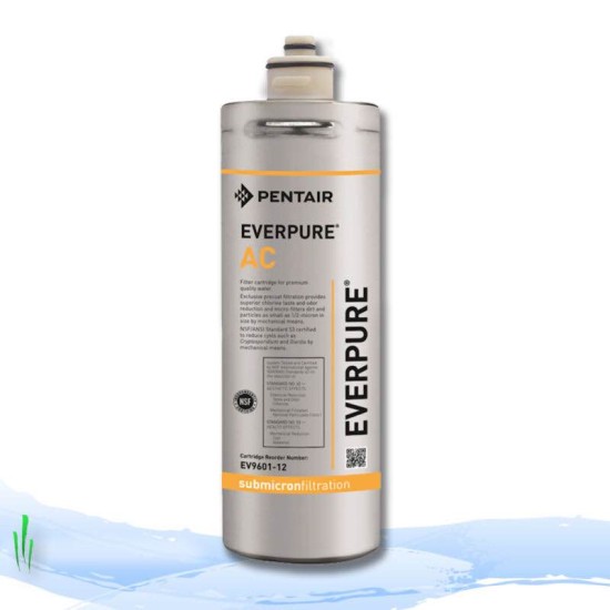 Filtr wody Everpure AC EV9601-12