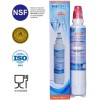 Filtr wody Icepure WFC2500A do AP2-C401-G