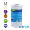 10-calowy filtr węglowy Big Blue - blok węglowy od Icepure ICP-CTO10BB