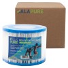 Intex Pure Spa Filter S1 by Alapure ALA-SPA24B