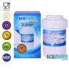 Indesit C00094394 Filtr wody Icepure RWF0600A